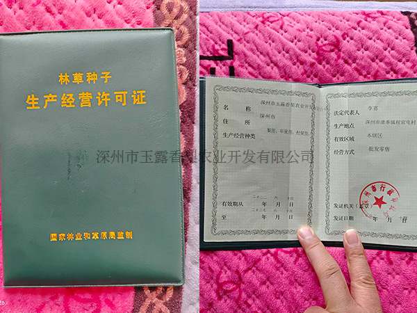 公司荣誉 